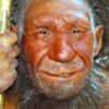 The Italian Neanderthal: Cannibals?