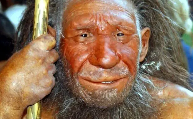 The Italian Neanderthal: Cannibals?