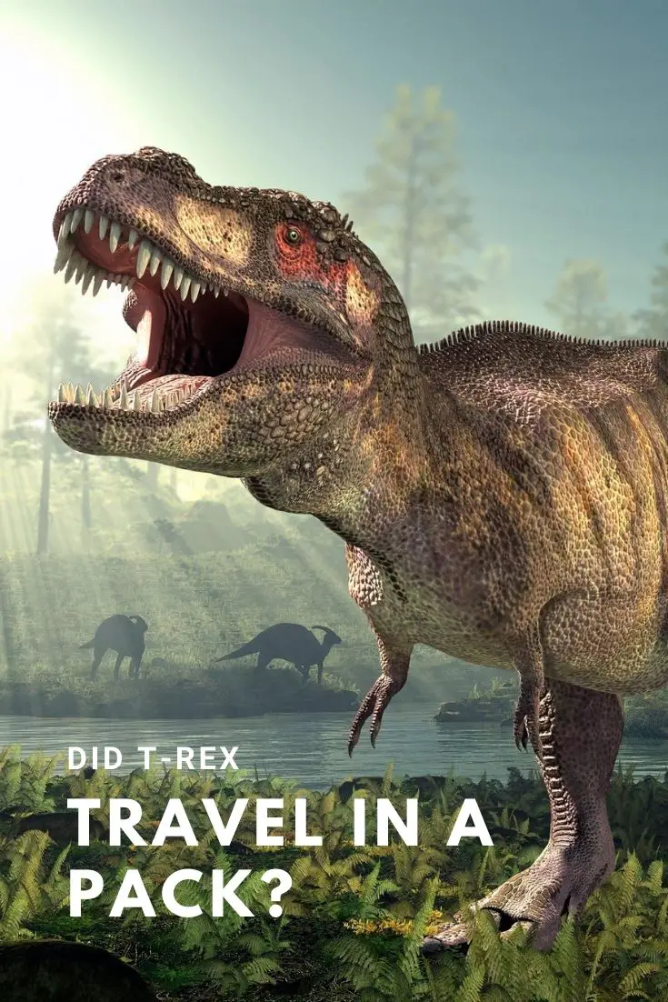 Biggest T-Rex Site Found in Utah - Did T-Rex Travel in a Pack -