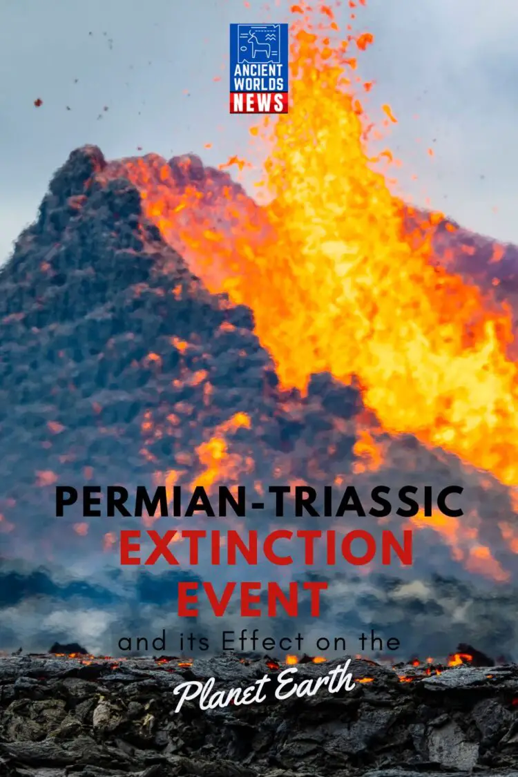 Permian-Triassic Extinction Event And Its Effect On The Planet ...